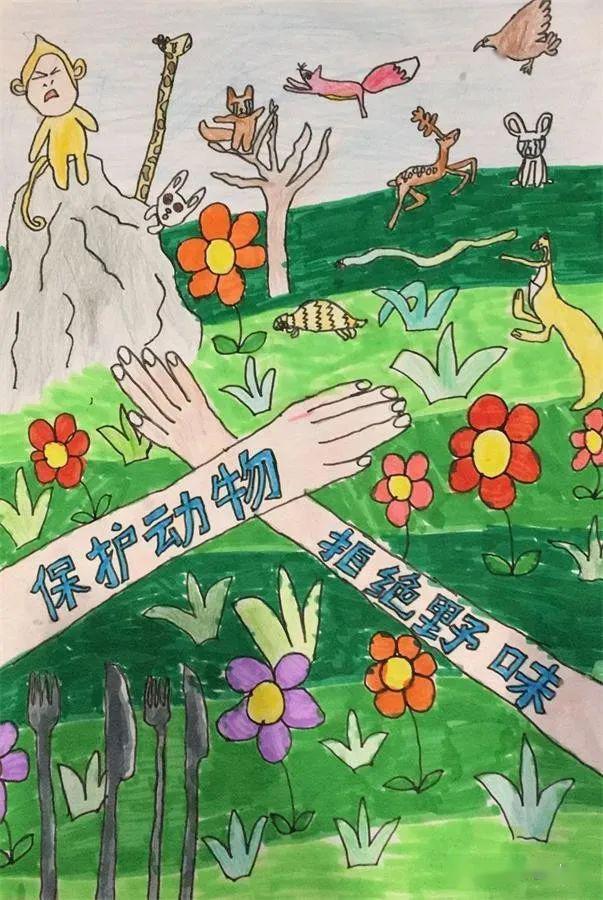 战疫童行画说动物九龙小学参加保护野生动物少儿绘画大赛优秀作品欣赏