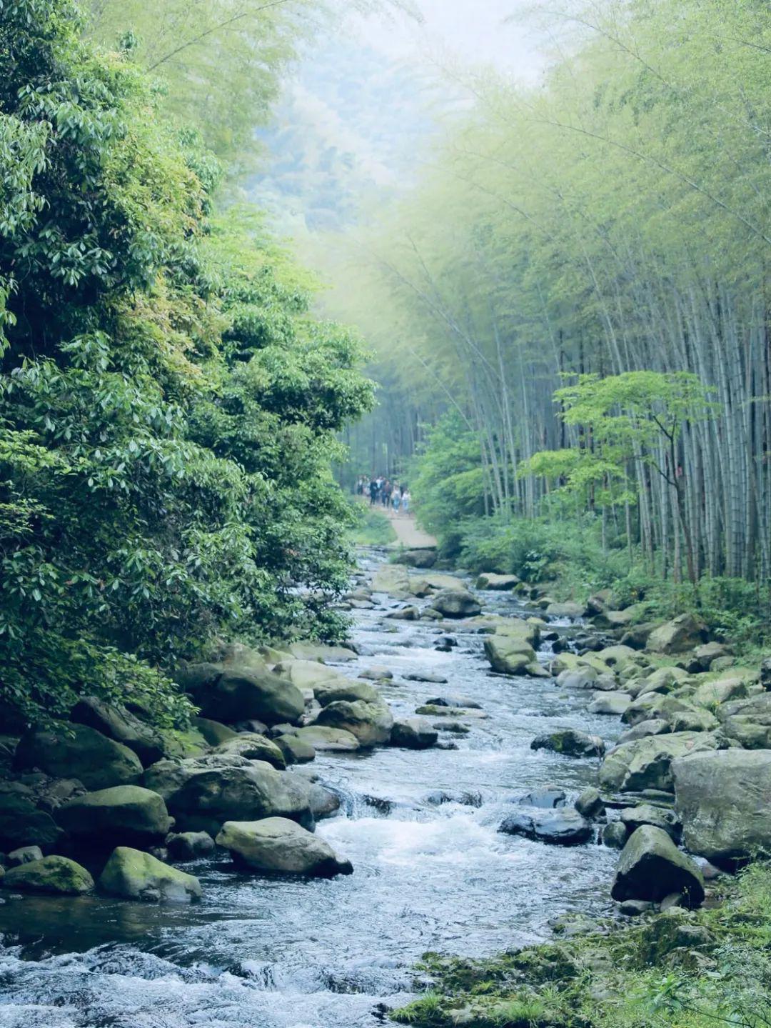 异花烂漫;翠竹挺拔