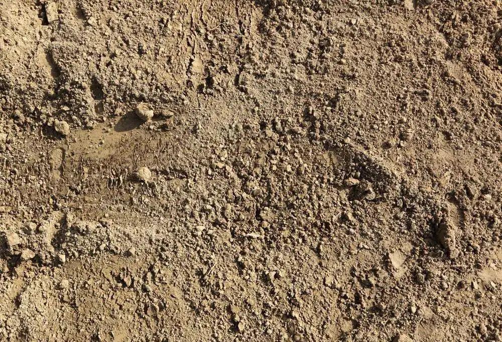 【景宁县中心幼儿园】大班第六期:泥土大拆解