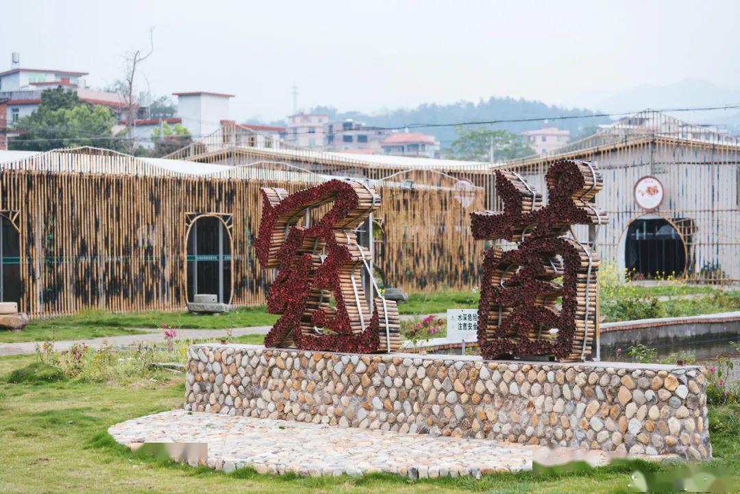 永春开耕田间的仪式感