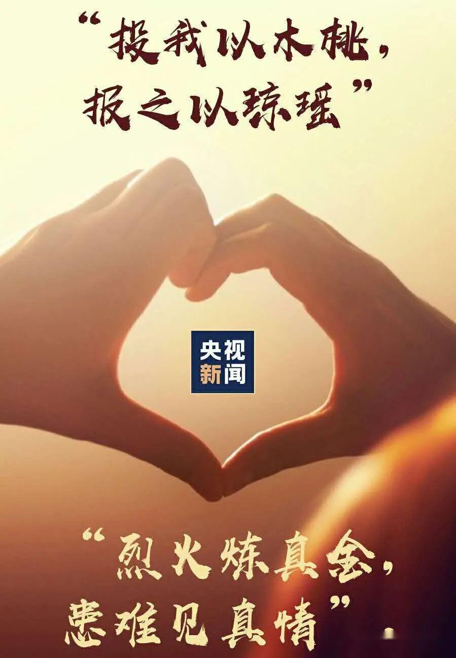 患难见真情 投我以木桃 报之以琼瑶