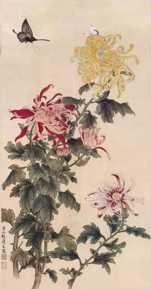 这菊花,画得真美!_顾伯达