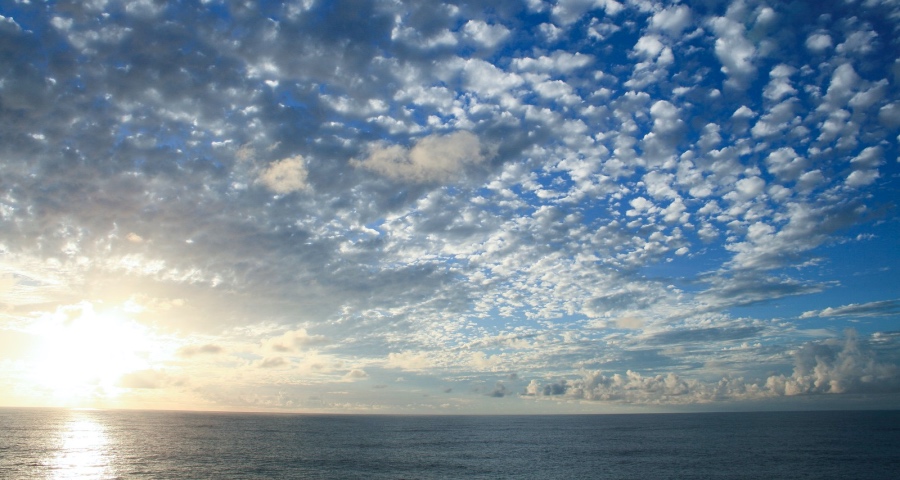 小米大家电业务今年要兵团作战，格力等同行们要如何应对呢？-家电圈官网