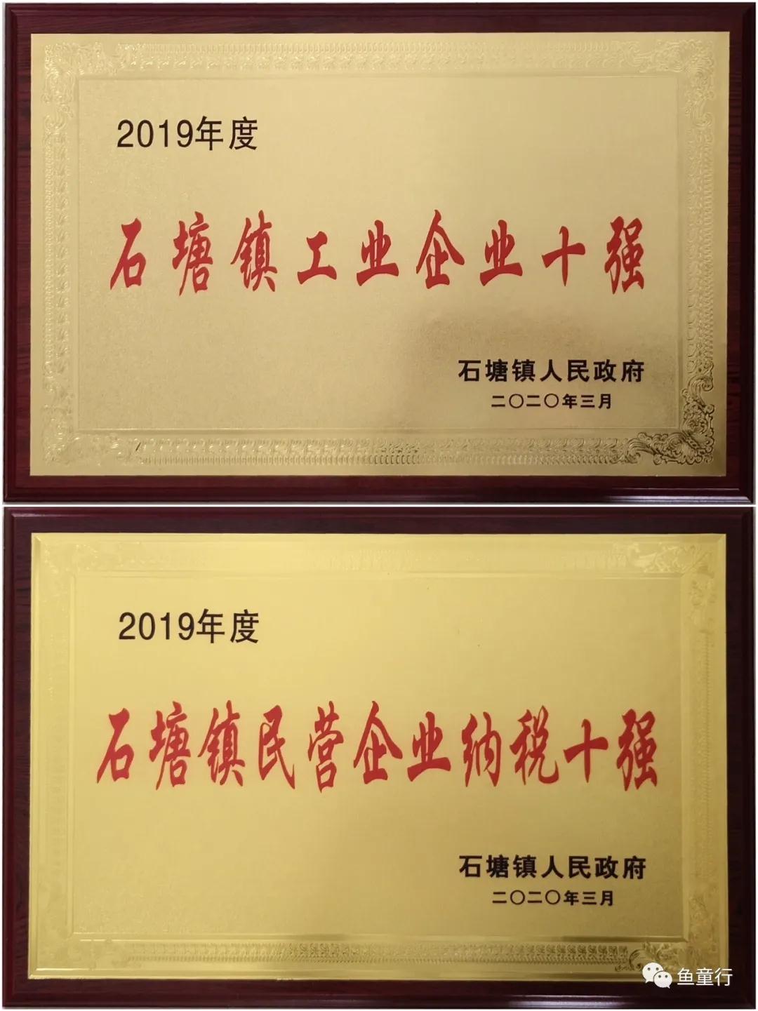 依法纳税砥砺前行鱼童漆再获殊荣