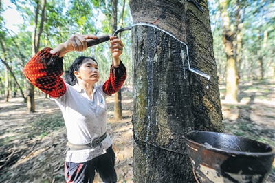 天然橡胶检测不同于其他橡胶你真相了吗