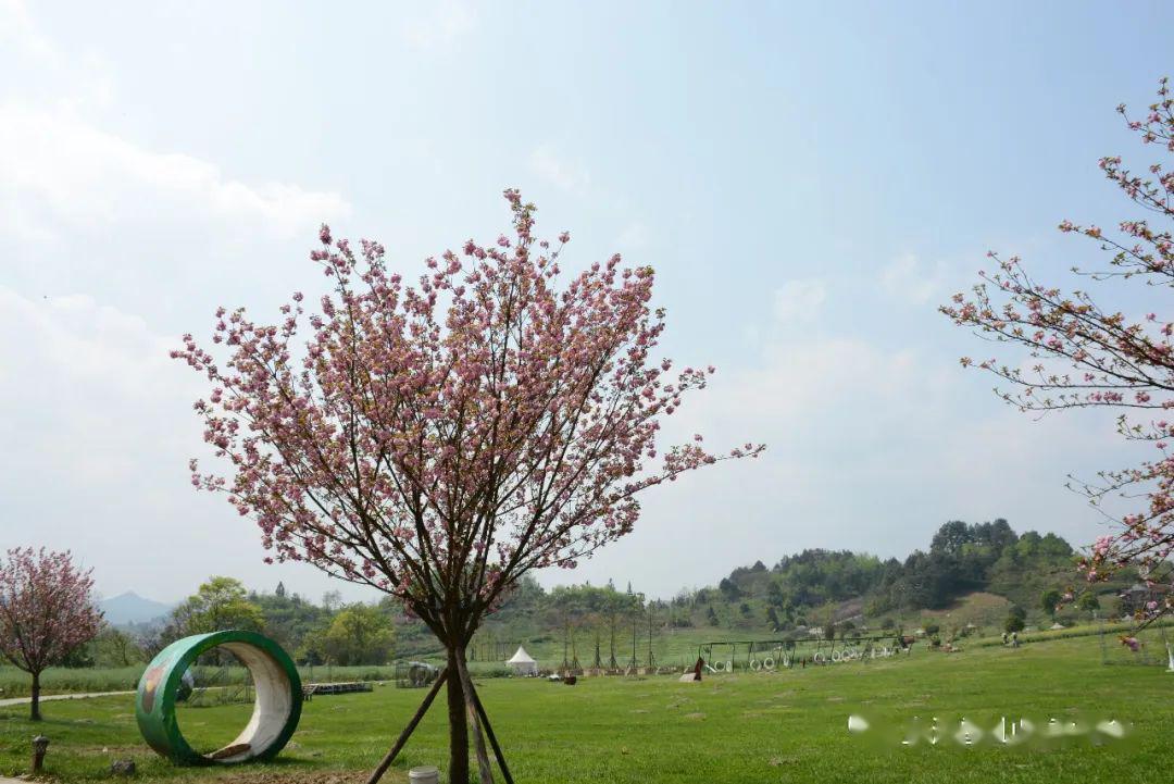 贵定金海雪山四季花谷图片