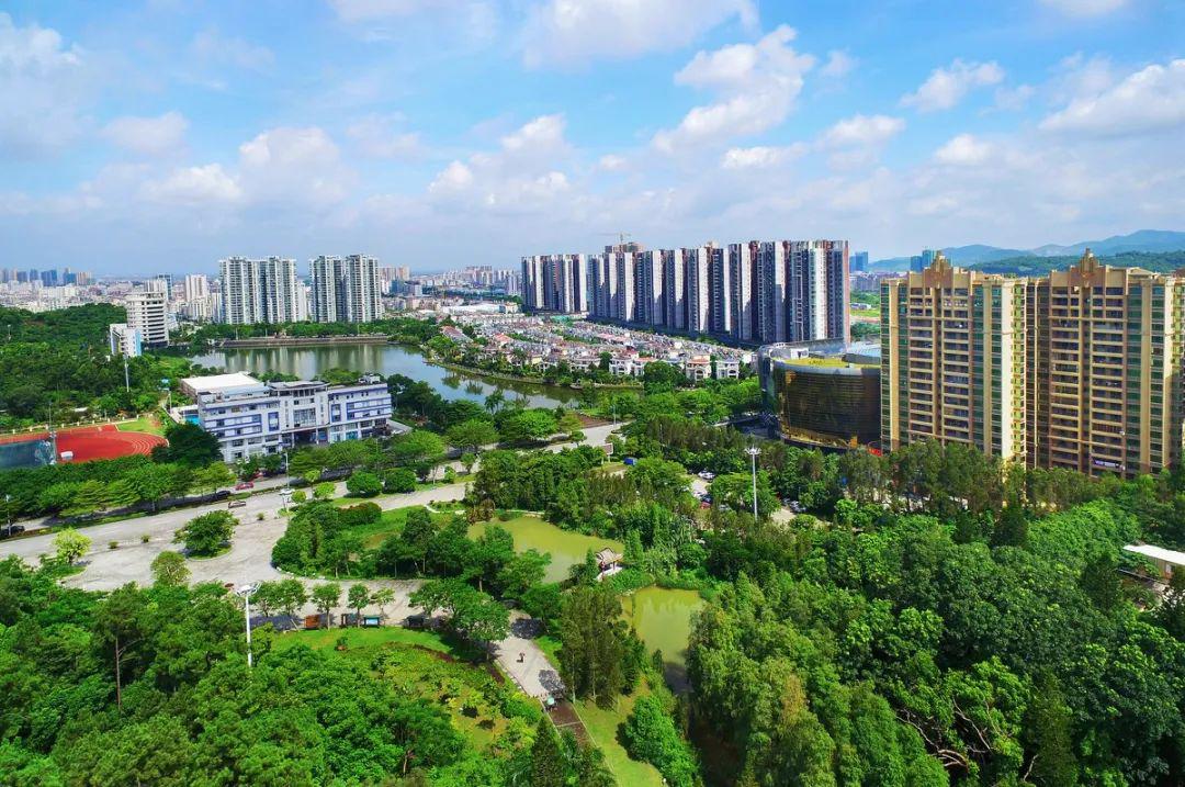 国家森林乡村又多了8条阳江这样绿起来美起来