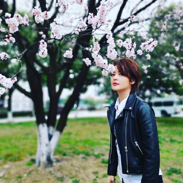 出道12年曾与雷佳音王俊凯合作今与李佳航搭档大放异彩