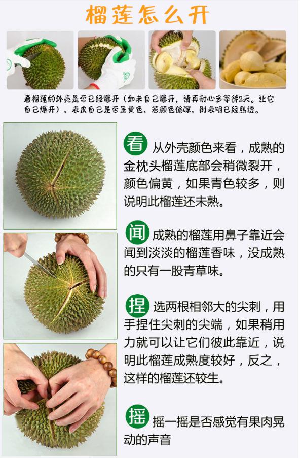榴莲控速速看过来