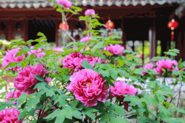 639_426gif 动态图 动图