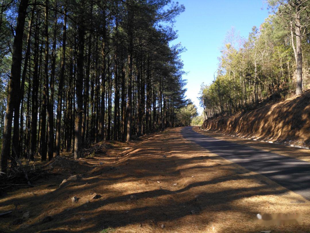 宝盖山路线图图片