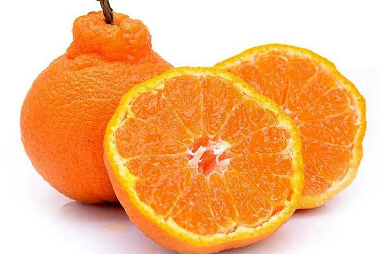 现在受欢迎的三种柑橘品种皮薄多汁味道甘甜