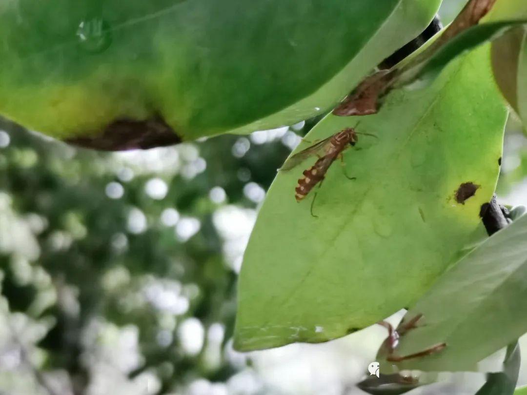 一场春雨最美时光我在这里等你