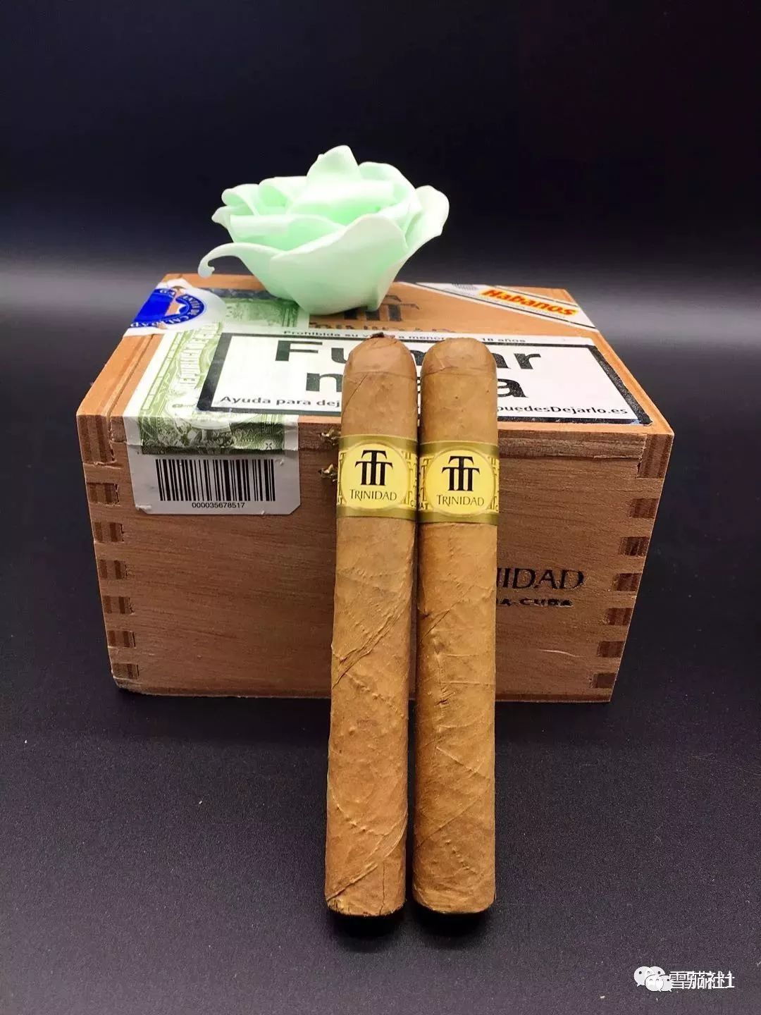 短时间抽雪茄都有什么选择?最值得尝试的十大古巴短雪茄