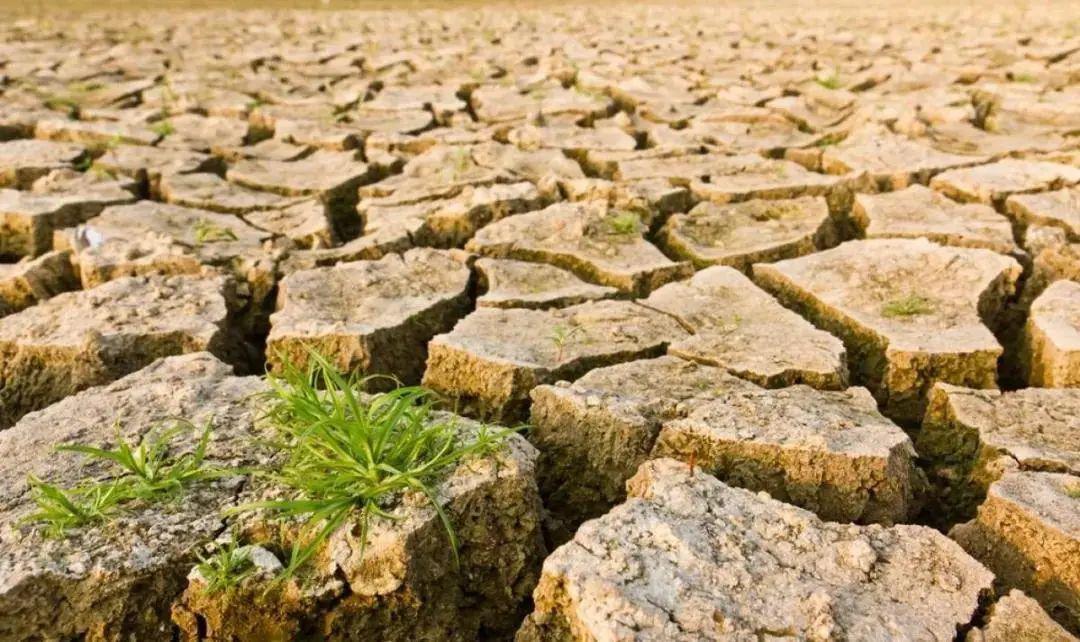 【景宁县中心幼儿园】大班第六期:泥土大拆解