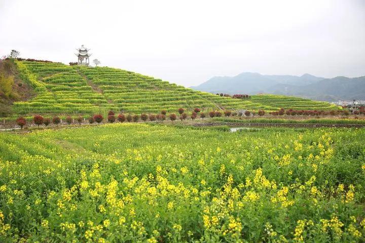 2020東陽市春季鄉村休閒旅遊節開幕