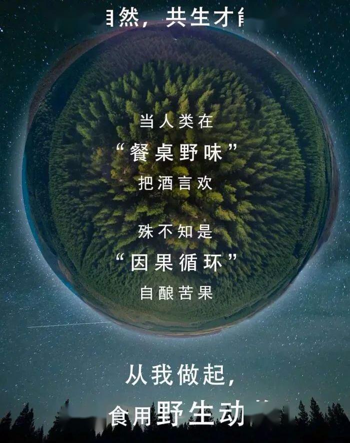 天不怕地不怕,不信因果最可怕!(值得警醒)_敬畏