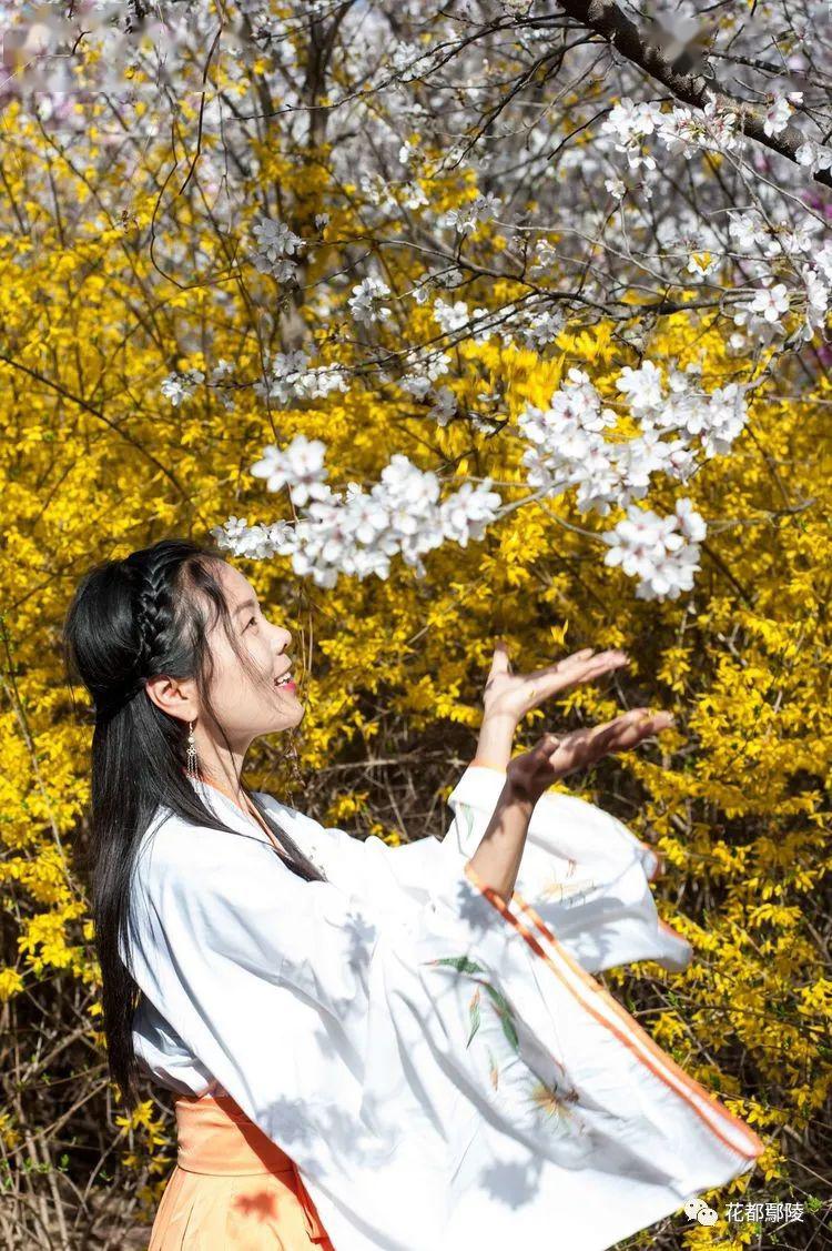 鄢陵这几个美女火了谁认识