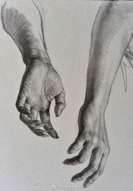 手的不同动作范画继续跟手磕起来素描和速写都有用