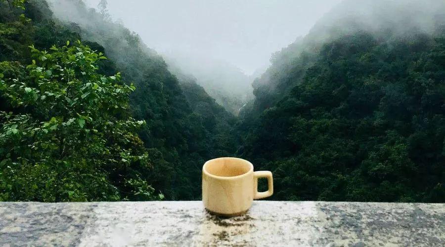 独处是一个人的清欢