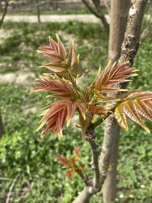 让人一口沦陷的鲜味都藏在这里!