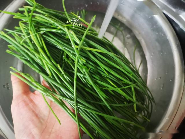 只在大西北才有的美味,比韭菜和大葱都好吃,炒鸡蛋最美味了_沙葱