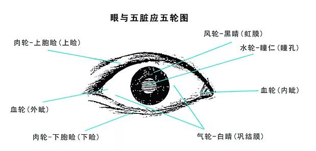 中医"六针八养"外治法治近视!_眼睛