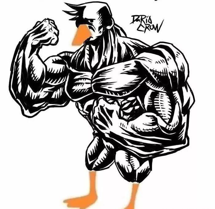 还有其他各种肌肉鸭出现08旺仔你变了这也是个社会鸭07社会我滑板鸭06