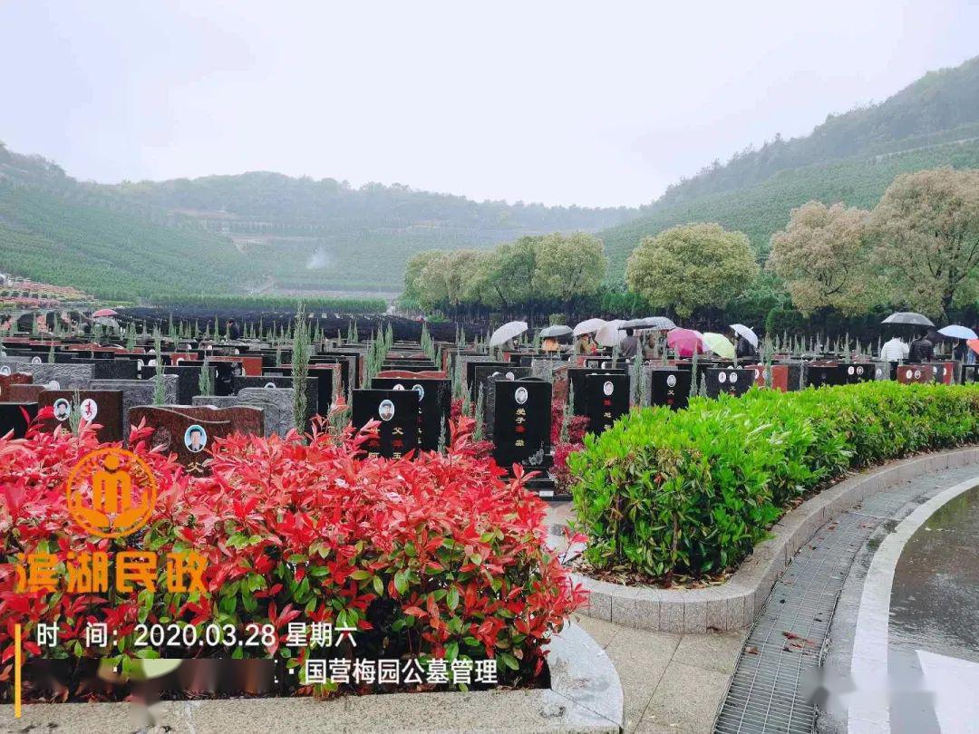 现场情况怎么样……_公墓