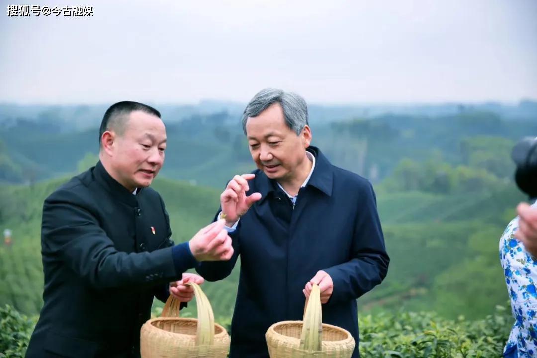 2020中国信阳毛尖开采仪式暨第九届文新春茶节隆重开幕_文新茶