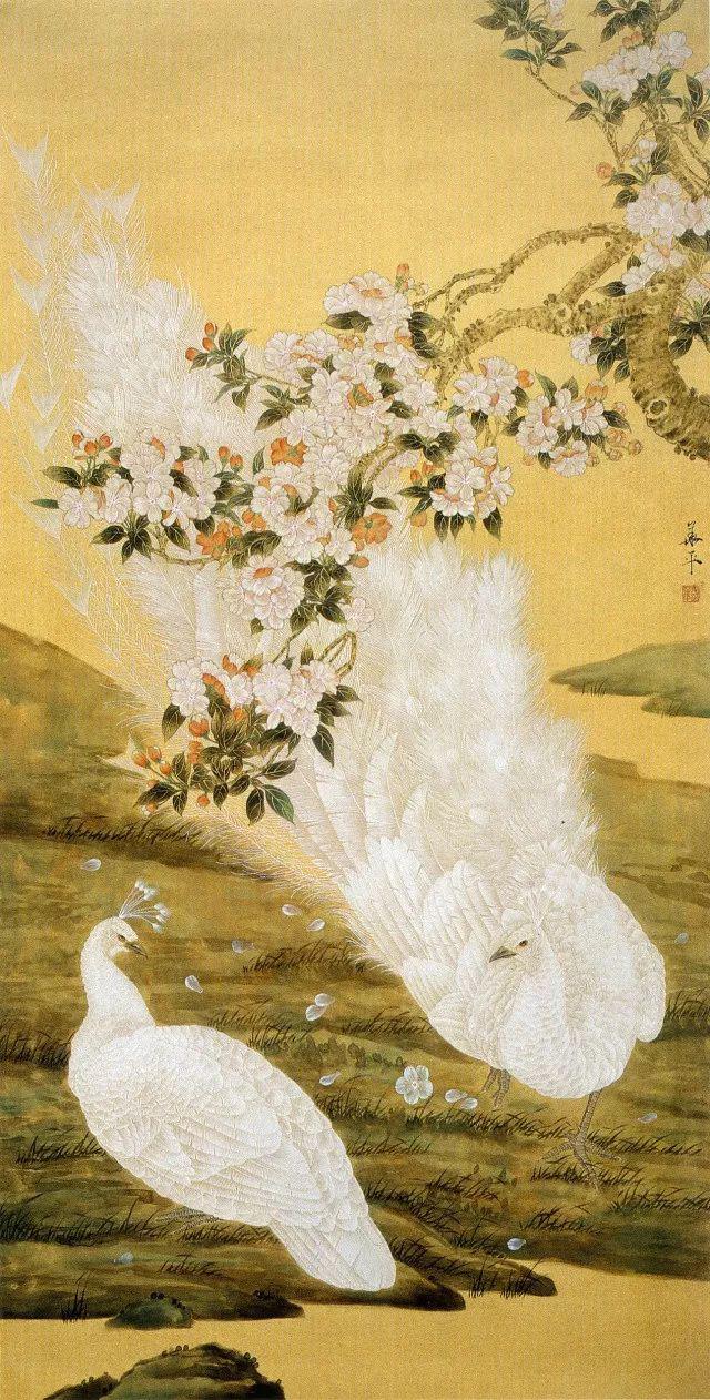 美丽吉祥白孔雀的画法