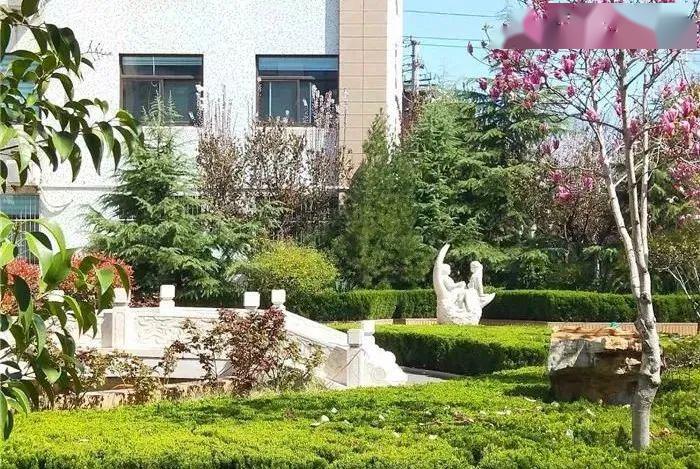 邀你点赞你要的济南最美校园和向上向善的他