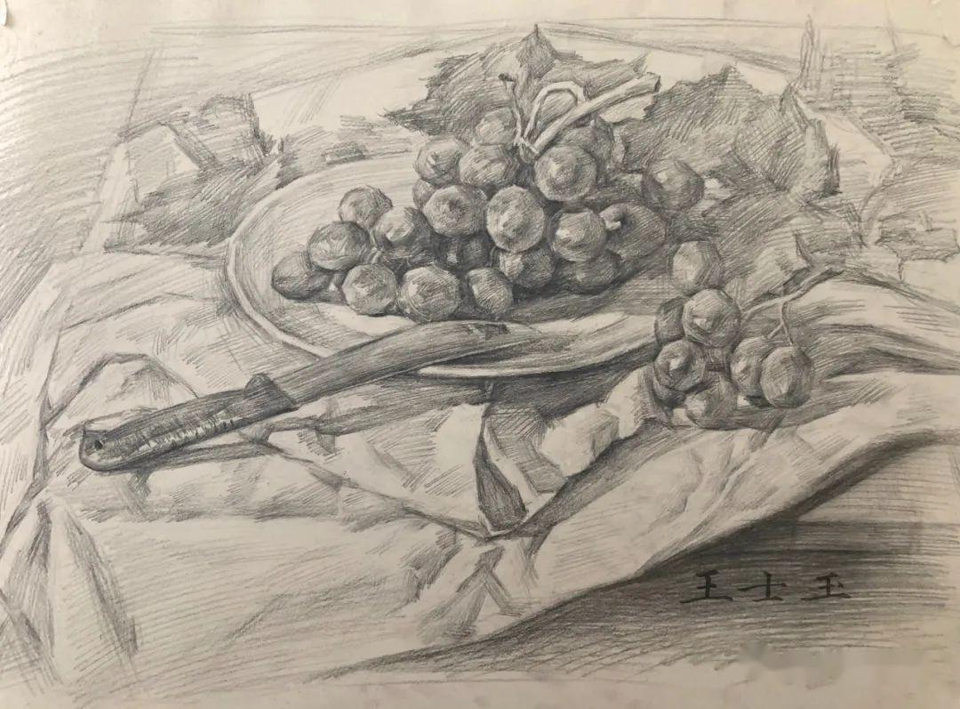 素描静物 也可以画出绘画的艺术的魅力 走进王士玉