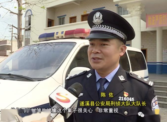 67遂溪公安快速侦破一起跨市盗窃耕牛案成功追回6头被盗耕牛