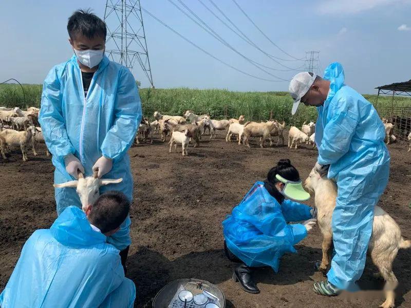 防疫物資,生豬疫苗1萬餘份,禽流感疫苗1500瓶,牛羊口蹄疫疫苗300餘瓶