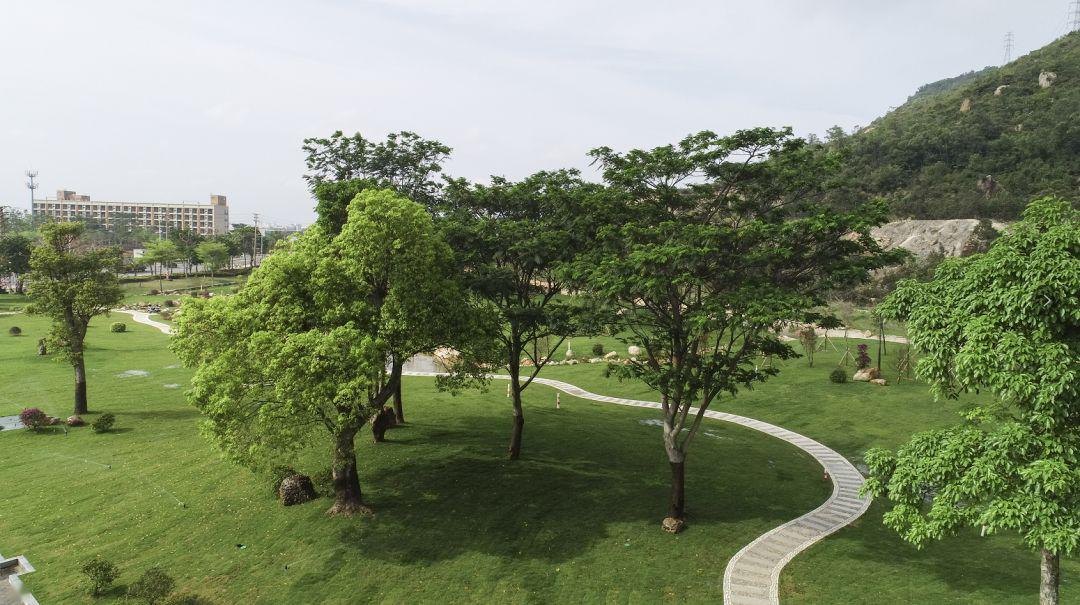 超大绿地景观湖面多彩植物珠海新添一个免费休闲好去处就在这里