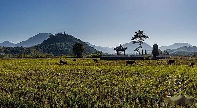 茂林八景失落王城里最后的风光