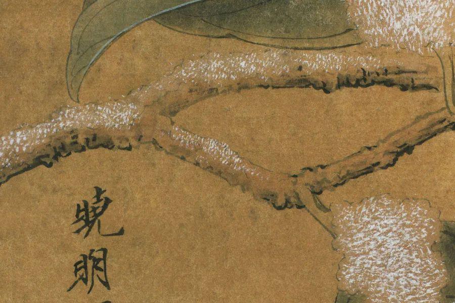 国画教程李晓明临宋雪霁山茶图绘制步骤含详细文字解析