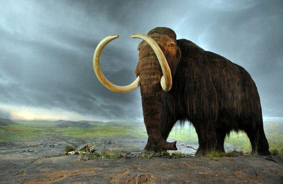 盘点远古时期的超级巨兽一只虾便能猎杀鲨鱼