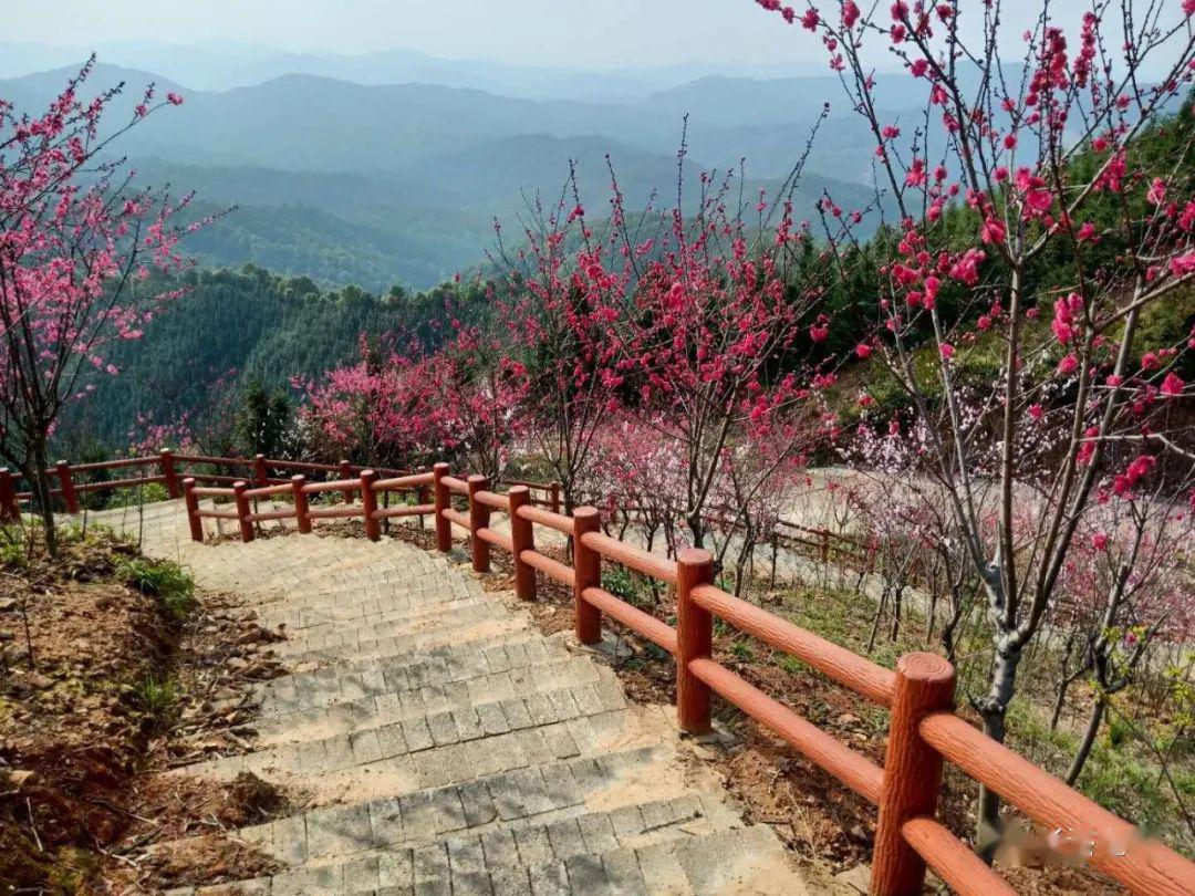 赣县长洛乡镜头里的春天