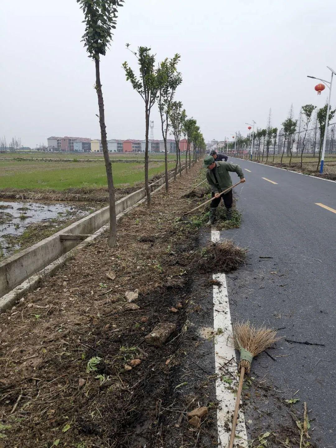 乡间小路栽树种花铲除污垢 清理垃圾 乡韵悠悠 河水清清南环路边整治