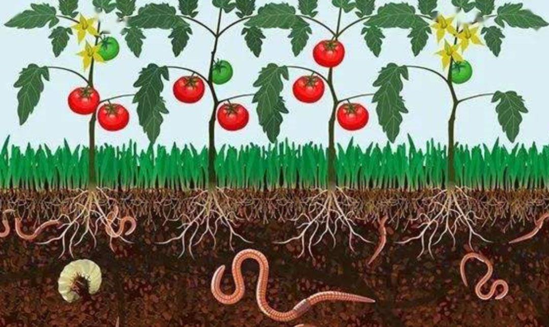 石嫣脚下的土地中有太多未知待我们探索读了不起的地下工作者