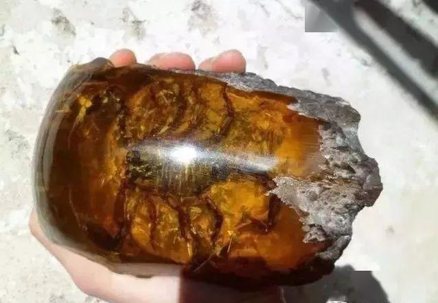 真假虫珀对比你不知道的小秘密