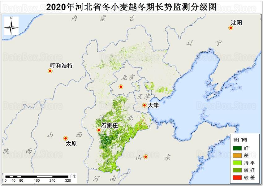 2020年冬小麦越冬期长势监测