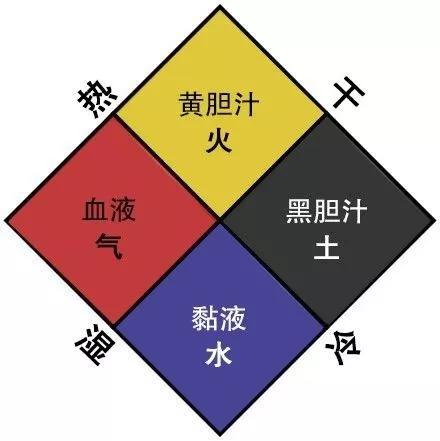 西医的基本理论是这样的:"四体液说"——人体有"血液,黏液,黄胆汁,黑