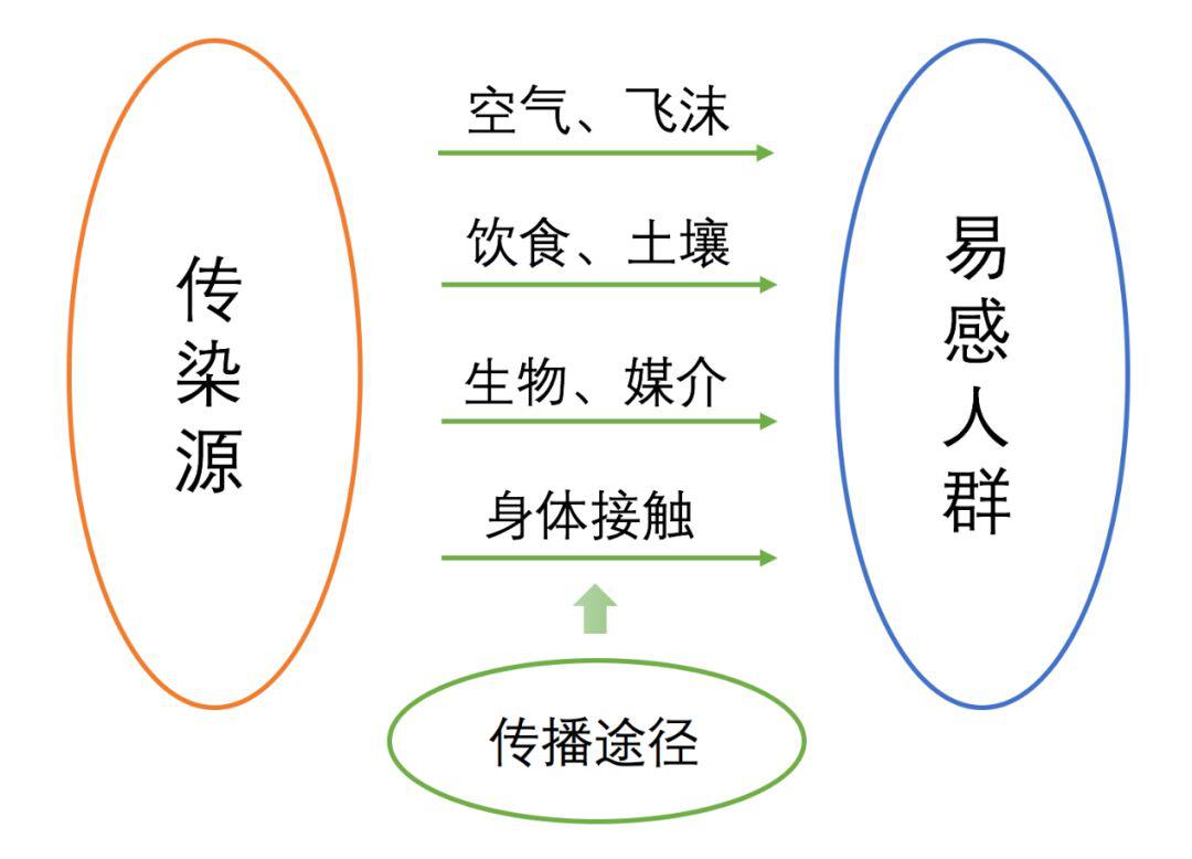  广东的病毒来源于哪里(广东疫情病毒来源)