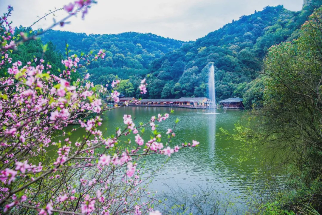 浙江常山狂撒百万旅行基金许你一场零成本的春日旅行
