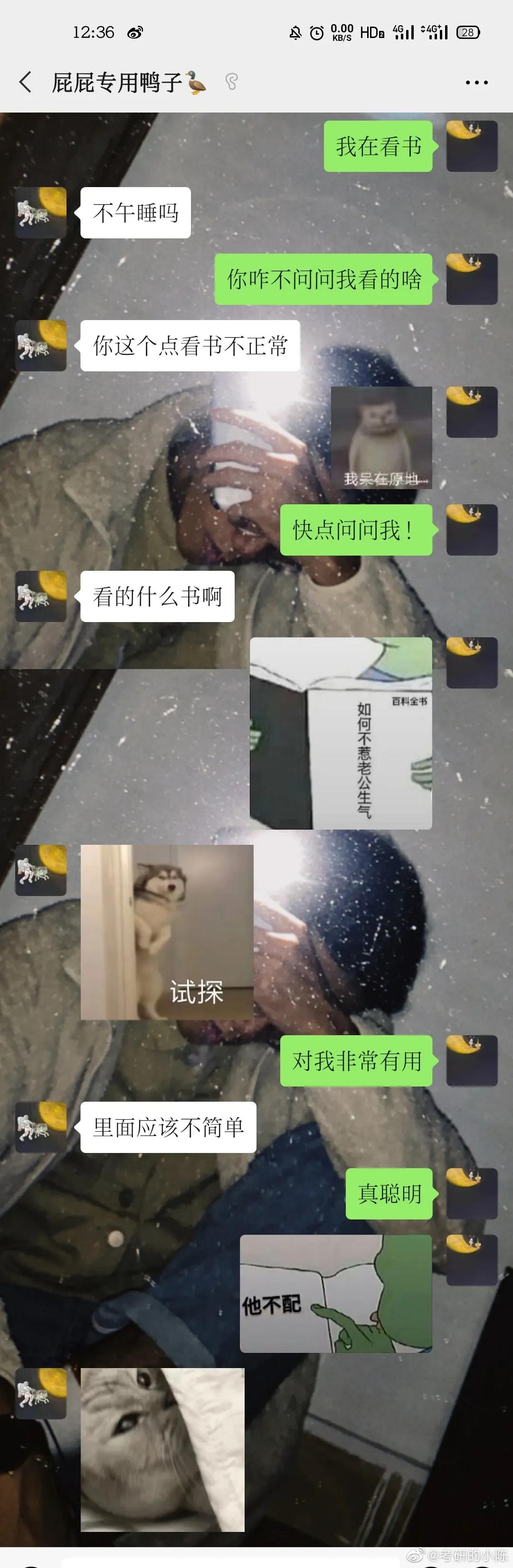 鸡扒照片图片