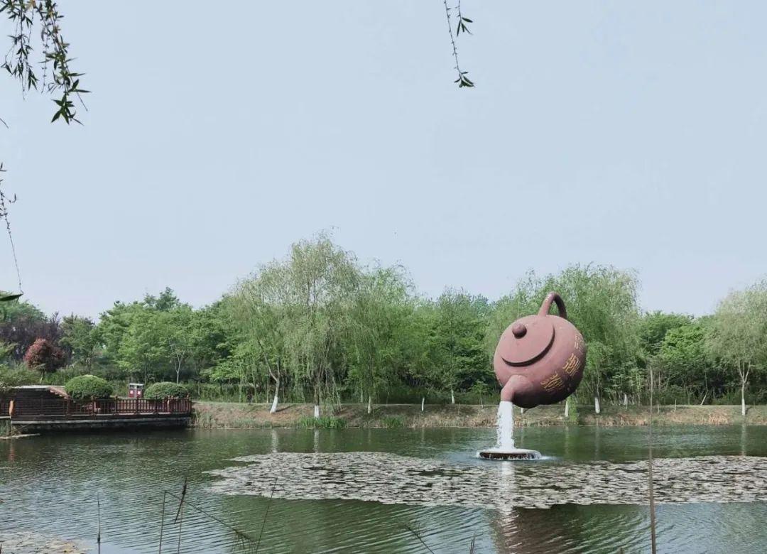 江苏茶博园景区今天起开放至4月30日对省内游客免票