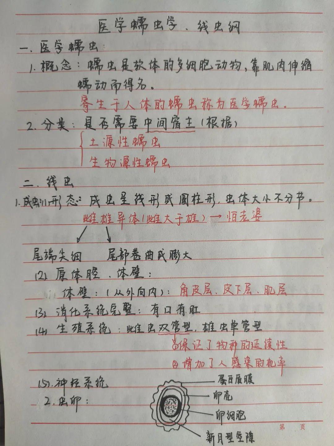 优秀笔记评选临床医学院